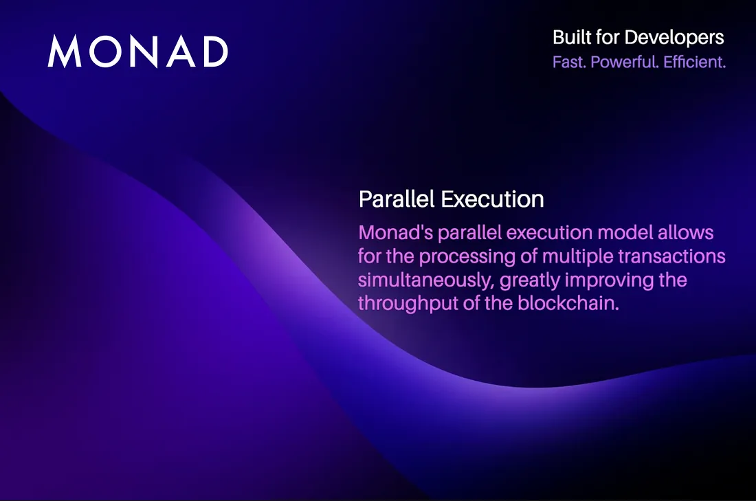 Monad parallel transaction processing diagram