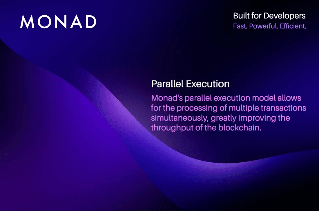 Monad blockchain low gas fees